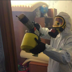 Уничтожение клопов в квартире. Советск